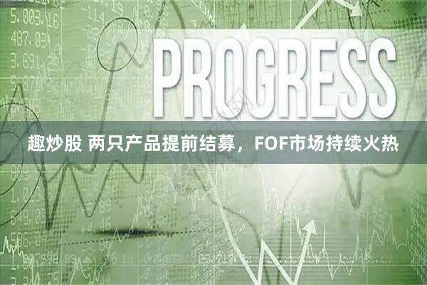 趣炒股 两只产品提前结募，FOF市场持续火热