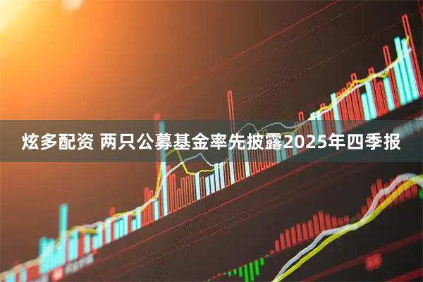 炫多配资 两只公募基金率先披露2025年四季报