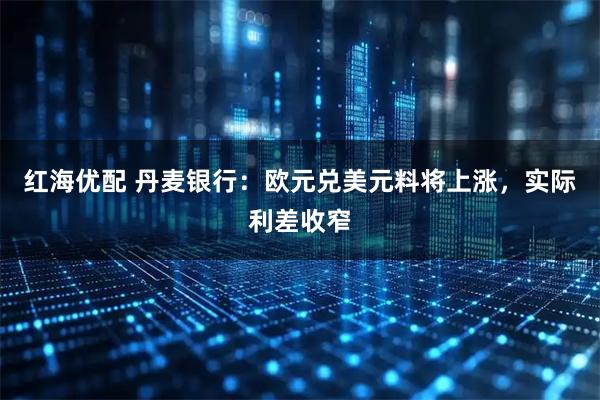 红海优配 丹麦银行：欧元兑美元料将上涨，实际利差收窄